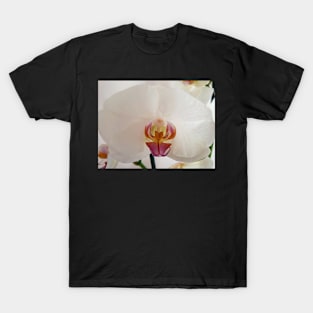 White Orchid T-Shirt